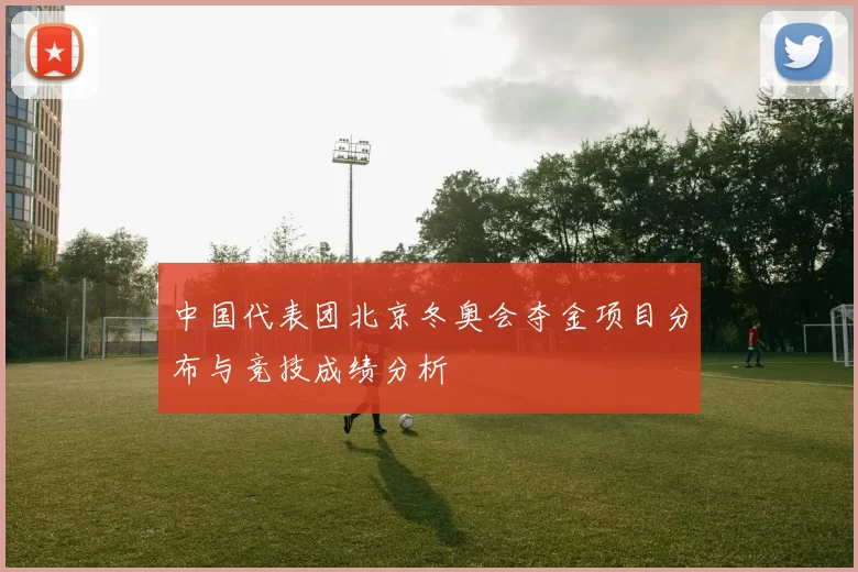 中国代表团北京冬奥会夺金项目分布与竞技成绩分析