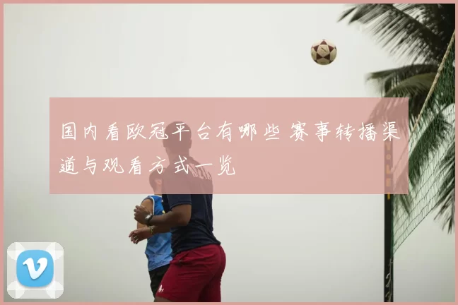 国内看欧冠平台有哪些 赛事转播渠道与观看方式一览