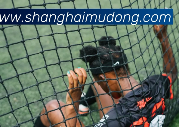 多媒体互动体验